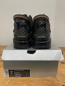 Air Jordan Dub Zero (Sz 12)